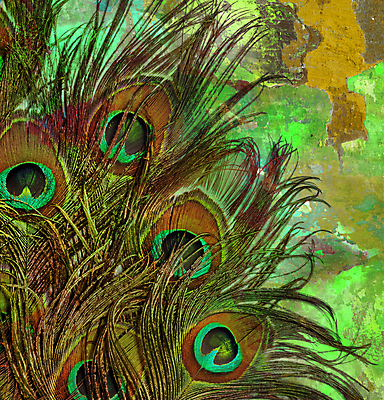 포토 JPG 해외이미지 동물 디자인 남자 야생동물 백그라운드 패턴 자연 조류 추상 미술 사람없음 장식 초록색 파란색 빛 컬러풀 노란색 우주 흰색 우아함 공작 깃털 오브젝트 질감 꼬리 솜털 고립 이국적 해외202004 해외포토 컬러 컨셉 무늬 문화예술 사람 생태계 파일형식 이미지허브