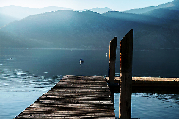 포토 JPG 해외이미지 나무 계절 백그라운드 자연 하늘 풍경 사람없음 야외 초록색 일몰 새벽 수확 가을 시골 해외202004 해외포토 자연요소 식물 컬러 농업 노을 생태계 파일형식 이미지허브