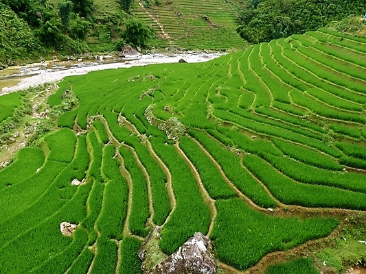 포토 JPG 해외이미지 식물 전통 아시아 문화 음식 조각 여행 농업 자연 밥 산 주택 동양인 풍경 사람없음 야외 목재 초록색 물 강 컬러풀 농장 마을 환경 계곡 수확 시골 땅 대나무 언덕 베트남 계단식 논밭 밭일 생태학 인도차이나반도 해외202004 해외포토 자연요소 나무 교육 나라 산업 컬러 밭 재료 논 인종 건물 동남아시아 생태계 파일형식 이미지허브
