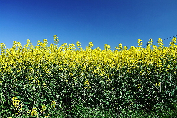 포토 JPG 해외이미지 사람없음 해외202004 해외포토 파일형식 이미지허브