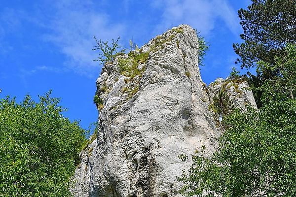 포토 JPG 해외이미지 나무 식물 유럽 산업 여행 백그라운드 밭 농업 건축양식 자연 하늘 산 파노라마 풍경 사람없음 야외 초록색 여름 파란색 마을 와인 봄 성장 흰색 시골 숲 언덕 포도밭 포도나무 지역 체코 남쪽 내추럴 공화국 옛날 모라비아 해외202004 해외포토 계절 건축 나라 컬러 주류 촬영기법 과일나무 방향 생태계 파일형식 이미지허브