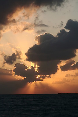 포토 JPG 해외이미지 구름 여행 백그라운드 오렌지 자연 하늘 아침 날씨 휴가 사람없음 빨간색 여름 빛 햇빛 태양 반사 노란색 평화 일출 침묵 일몰 새벽 광선 저녁 신성 천국 해외202004 해외포토 주간 자연요소 계절 컬러 컨셉 과일 노을 소리 야간 생태계 파일형식 이미지허브