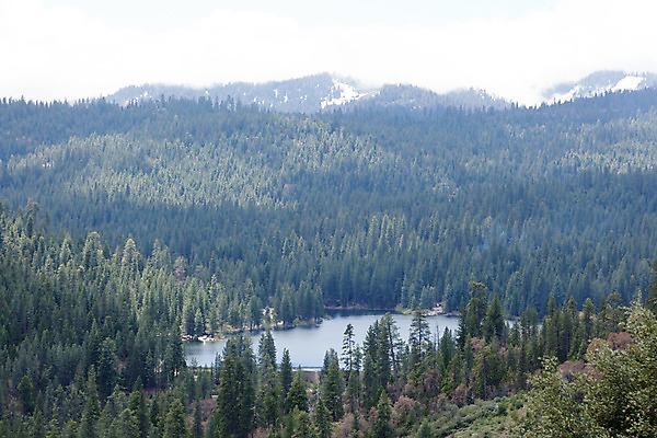 포토 JPG 해외이미지 나무 계절 공원 호수 자연 하늘 휴가 산 풍경 사람없음 야외 초록색 물 여름 파란색 평화 맑음 미국 소나무 황무지 숲 댐 그림 산등성이 캘리포니아 대야 멀리 뱃놀이 서쪽 전국 해외202004 해외포토 자연요소 식물 공공시설 컬러 컨셉 북아메리카 배_교통 날씨 전통놀이 방향 생태계 파일형식 이미지허브
