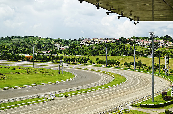 포토 JPG 해외이미지 동물 아시아 길 스포츠 모션 사람없음 경쟁 경기장 레이싱 승마 도박 승차 속도 땅바닥 선로 해외202004 해외포토 나라 컨셉 스포츠시설 바닥 시합 파일형식 이미지허브