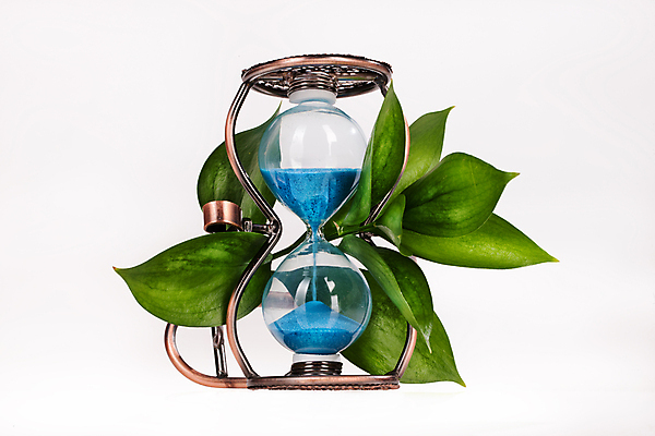 포토 JPG 해외이미지 식물 모래 시계 잎 자연 유리 사람없음 초록색 파란색 금속 시간 닫기 손목시계 모래시계 측정 복고 고립 옛날 스타일 해외202004 해외포토 컬러 장신구 모션 재질 생태계 파일형식 이미지허브