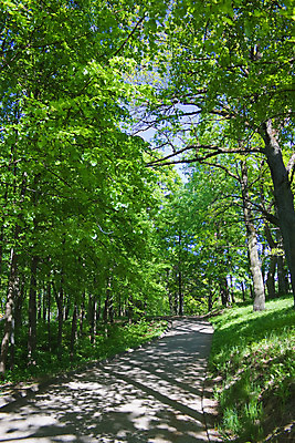 포토 JPG 해외이미지 나무 구름 공원 길 여행 잎 자국 자연 하늘 거리 풍경 사람없음 야외 목재 초록색 여름 파란색 농장 걷기 마을 정원 맑음 봄 산책 하이킹 시골 숲 오솔길 땅 장면 교외 해외202004 해외포토 자연요소 식물 계절 공공시설 컬러 농업 재료 모션 레저 날씨 휴식 생태계 파일형식 이미지허브