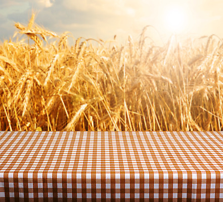 포토 JPG 해외이미지 공원 백그라운드 컨셉 밭 농업 자연 탁자 아이디어 옥수수 사람없음 목재 장식 여름 빛 태양 노란색 우주 정원 전시 빵집 식탁보 시골 정상 소프트포커스 낟알 시리얼 밀 굽기 복고 체크무늬 밀가루 8월 양모 깅엄 옛날 호밀 해외202004 해외포토 자연요소 나무 계절 공공시설 산업 음식 컬러 가구 무늬 재료 곡류 촬영기법 상점 직물 날짜 가루 구이 생태계 파일형식 이미지허브