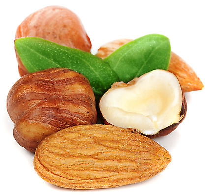 포토 JPG 해외이미지 식물 음료 음식 백그라운드 자연 실내 씨앗 사람없음 갈색 견과류 흰색 먹기 유기농 흙더미 개암나무 고립 구성 헤이즐넛 해외202004 해외포토 나무 웰빙 컬러 모션 내부 흙 생태계 파일형식 더미 이미지허브