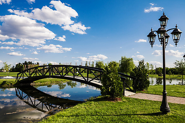 포토 JPG 해외이미지 나무 식물 구름 공원 길 호수 선 섬 백그라운드 골프 건축양식 자연 풍경 사람없음 야외 목재 초록색 물 여름 빛 강 반사 평화 정원 일본 맑음 침묵 봄 연못 작음 장면 내추럴 배수구 넘어짐 브로츠와프 해외202004 해외포토 자연요소 계절 공공시설 건축 아시아 컬러 컨셉 재료 모션 날씨 구기 소리 크기 생태계 파일형식 이미지허브