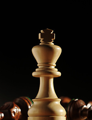 포토 JPG 해외이미지 스튜디오촬영 조각 실내 사람없음 목재 아웃포커스 컬러풀 체스 계획 대표 오브젝트 해외202004 해외포토 나무 컬러 컨셉 재료 놀이 촬영기법 내부 파일형식 이미지허브