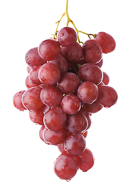 포토 JPG 해외이미지 식물 길 음식 백그라운드 컨셉 농업 과일 자연 포도 추상 불꽃 디저트 따뜻함 건강 사람없음 빨간색 여름 빛 상자 머리 와인 장비 흰색 신선 막대기 그룹 달콤 맛 성냥 다발 오브젝트 싱글 유기농 포도나무 고립 숙성 얇은 유황 많음 해외202004 해외포토 웰빙 계절 산업 컬러 무늬 불 주류 신체부위 과일나무 생태계 파일형식 이미지허브