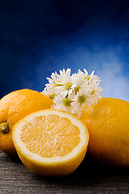 포토 JPG 해외이미지 꽃 음식 과일 재료 귤 사람없음 노란색 레몬 유기농 데이지 건강식 채식주의자 억울 해외202004 해외포토 식물 웰빙 감정 컬러 채식 파일형식 이미지허브