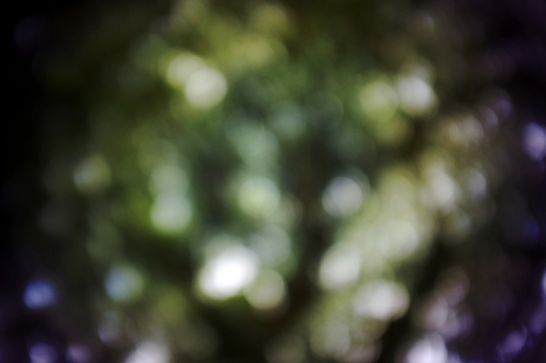 포토 JPG 해외이미지 디자인 분홍색 백그라운드 크리스마스 패턴 오렌지 벽지 하늘 추상 휴가 새로움 미술 경사 사람없음 파란색 빛 컬러풀 태양 파티 우주 환경 축제 봄 할로윈 회색 흰색 축하 원형 소프트포커스 연도 질감 보케 부드러움 해피뉴이어 공상 마법 천국 블러 엘리먼트 파스텔톤 효과 해외202004 해외포토 자연요소 도형 계절 기념일 컬러 컨셉 무늬 과일 문화예술 촬영기법 이벤트 새해인사 감각 파일형식 이미지허브