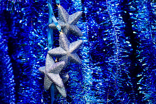 포토 JPG 해외이미지 나무 전통 계절 행복 크리스마스 겨울 곰 눈사람 휴가 새로움 새해 수염 선물 사람없음 장식 빨간색 장난감 산타클로스 목도리 기쁨 흰색 축하 12월 기적 고립 클라우스 해외202004 해외포토 식물 동물 잡화 기념일 감정 컬러 컨셉 포유류 날짜 파일형식 이미지허브