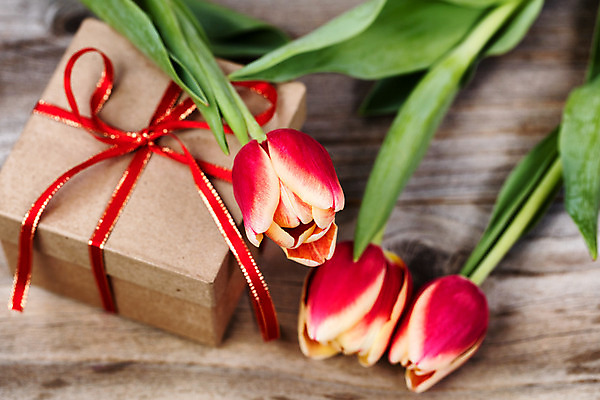 포토 JPG 해외이미지 식물 꽃 행복 리본 꽃무늬 자연 엄마 휴가 스트레스 기념 발렌타인데이 선물 사랑 사람없음 목재 장식 빨간색 상자 놀람 봄 튤립 수확 벚꽃 시골 신선 5월 오브젝트 활 감사 머리위 감탄 돌봄 해외202004 해외포토 나무 계절 감정 컬러 무늬 농업 재료 가족 모션 데이이벤트 표정 날짜 생태계 파일형식 이미지허브