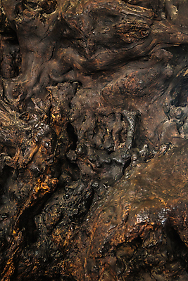 포토 JPG 해외이미지 나무 백그라운드 패턴 날씨 사람없음 목재 갈색 검은색 어둠 시골 질감 숯 석탄 여신 해외202004 해외포토 식물 컬러 무늬 재료 파일형식 이미지허브