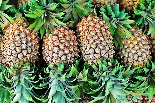 포토 JPG 해외이미지 라이프스타일 음료 음식 백그라운드 컨셉 패턴 다이어트 과일 재료 디저트 건강 요리 사람없음 초록색 신선 파인애플 질감 채식주의자 해외202004 해외포토 컬러 무늬 생활 열대과일 채식 파일형식 이미지허브