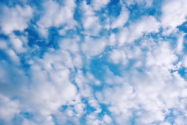 포토 JPG 해외이미지 구름 백그라운드 패턴 자연 하늘 날씨 추상 사람없음 야외 여름 파란색 빛 햇빛 환경 흰색 천국 솜털 내추럴 해외202004 해외포토 자연요소 계절 컬러 무늬 태양 생태계 파일형식 이미지허브