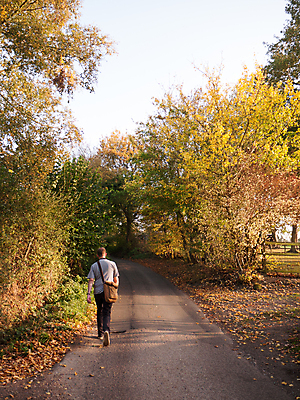 포토 JPG 해외이미지 나무 계절 공원 도로 길 여행 백그라운드 잎 자국 자연 하늘 풍경 사람없음 야외 목재 빨간색 초록색 여름 빛 햇빛 태양 노란색 일출 환경 일몰 봄 산책 가을 시골 숲 오솔길 장면 10월 내추럴 방법 해외202004 해외포토 자연요소 식물 공공시설 컬러 재료 교통시설 휴식 노을 날짜 생태계 파일형식 이미지허브