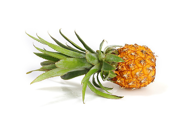 포토 JPG 해외이미지 음식 다이어트 과일 자연 디저트 건강 사람없음 초록색 노란색 흰색 신선 달콤 맛 먹기 파인애플 고립 해외202004 해외포토 컬러 컨셉 모션 열대과일 생태계 파일형식 이미지허브