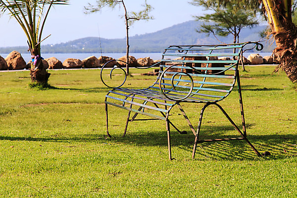 포토 JPG 해외이미지 공원 꽃 길 백그라운드 벤치 의자 휴식 앉기 사람없음 야외 목재 초록색 금속 정원 싱글 질감 일반 줄서기 철강 해외202004 해외포토 나무 식물 공공시설 컬러 가구 컨셉 재료 모션 재질 파일형식 이미지허브