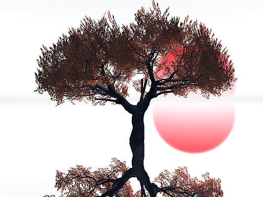 포토 JPG 해외이미지 나무 식물 실루엣 백그라운드 오렌지 자연 하늘 풍경 사람없음 야외 여름 빛 햇빛 일출 일몰 저녁 장면 수평선 해외202004 해외포토 계절 과일 촬영기법 태양 노을 야간 생태계 파일형식 이미지허브