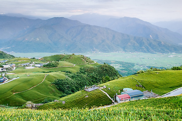 포토 JPG 해외이미지 식물 꽃 잎 꽃무늬 밭 농업 오렌지 자연 산 풍경 사람없음 야외 초록색 컬러풀 햇빛 농장 농경지 노란색 마을 환경 계곡 침묵 목장 활발 벚꽃 시골 신선 호랑이 백합 땅 대만 언덕 장면 내추럴 밭일 수평선 해외202004 해외포토 산업 아시아 컬러 컨셉 무늬 과일 포유류 태양 소리 생태계 파일형식 이미지허브