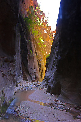 포토 JPG 해외이미지 나무 식물 공원 지구 모래 여행 오렌지 자연 휴가 산 그림자 풍경 사람없음 야외 빨간색 물 강 컬러풀 노란색 골짜기 계곡 보라색 봄 사막 바위 소나무 개울 그늘 자르기 탈출 제비꽃 오르기 사암 멀리 천연기념물 단절 시온산 지질학 특별함 해외202004 해외포토 자연요소 계절 공공시설 교육 꽃 컬러 컨셉 과일 모션 돌_바위 생태계 파일형식 이미지허브
