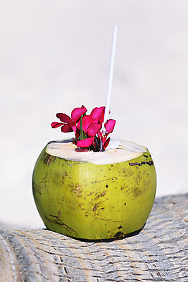 JPG 해외이미지 빨대 해변 사람없음 야외 열대꽃 코코넛주스 해외포토 포토 꽃 바다 주스 코코넛 파일형식 이미지허브