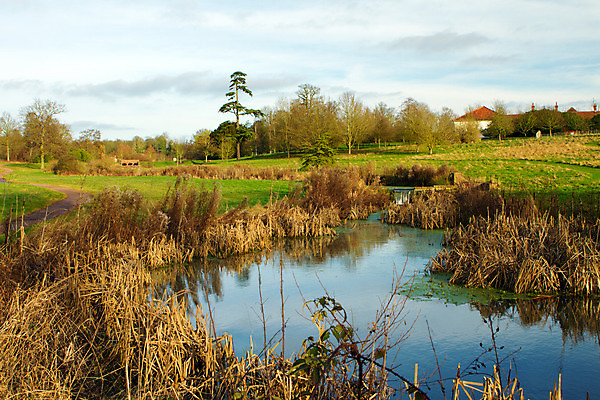 포토 JPG 해외이미지 나무 구름 영어 계절 공원 호수 벽 잎 밭 자연 아침 영국 잉글랜드 풍경 사람없음 야외 초록색 물 강 컬러풀 햇빛 농장 평화 정원 침묵 가을 바위 시골 숲 백조 장면 삼림지대 전국 컴브리아주 해외202004 해외포토 주간 자연요소 식물 문자 공공시설 유럽 컬러 컨셉 농업 조류 태양 소리 돌_바위 생태계 파일형식 이미지허브