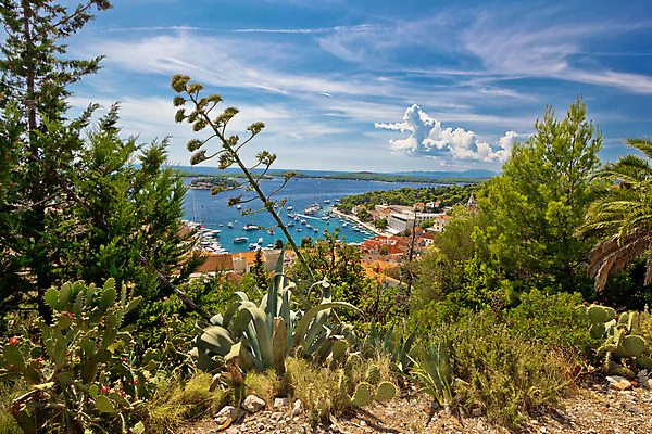 포토 JPG 해외이미지 외관 유럽 바다 섬 요트 건축양식 지붕 휴가 거리 항해 안테나 파노라마 사람없음 물 파란색 도시풍경 컬러풀 성당 교회 여행객 항구 바위 도시 소나무 만 역사 지중해 포트 타운 크로아티아 달마시안 해외202004 해외포토 자연요소 나무 건축 나라 컬러 배_교통 통신 종교건축 교통시설 촬영기법 사람 풍경 건물 돌_바위 개 파일형식 이미지허브
