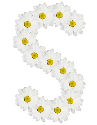 포토 JPG 해외이미지 식물 캐릭터 디자인 알파벳 꽃 꽃다발 백그라운드 꽃무늬 텍스트 자연 창조 사람없음 장식 노란색 정원 맑음 봄 활발 벚꽃 흰색 신선 우아함 편지 심볼 데이지 냄새 타입 고립 스타일 해외202004 해외포토 영어 계절 컬러 컨셉 무늬 날씨 생태계 파일형식 이미지허브