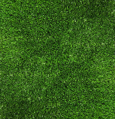 포토 JPG 해외이미지 식물 계절 백그라운드 컨셉 꽃무늬 패턴 밭 부분 자연 벽지 잔디 사람없음 야외 장식 초록색 환경 정원 봄 활발 성장 신선 칼날 4월 6월 5월 묘사 질감 지역 7월 내추럴 넘어짐 생태학 그리너리 해외202004 해외포토 교육 꽃 컬러 무늬 농업 모션 날짜 생태계 파일형식 트랜드컬러 이미지허브