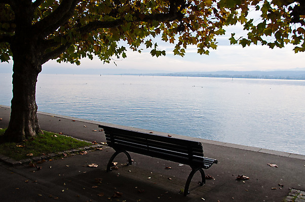 포토 JPG 해외이미지 나무 식물 계절 공원 유럽 호수 바다 여행 백그라운드 잎 벤치 오렌지 자연 독일 풍경 사람없음 야외 물 파란색 컬러풀 평화 환경 침묵 봄 활발 가을 떨어짐 땅 알프스 장면 내추럴 해외202004 해외포토 자연요소 공공시설 나라 컬러 컨셉 의자 과일 소리 생태계 파일형식 이미지허브