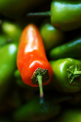 포토 JPG 해외이미지 음식 사람없음 빨간색 초록색 뜨거움 양념 조미료 매움 후추 성분 해외202004 해외포토 컬러 맛 향신료 향미료 파일형식 이미지허브