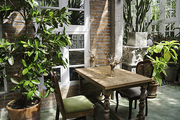 포토 JPG 해외이미지 나무 식물 라이프스타일 디자인 화분 가구 단풍 잎 의자 태국 자연 탁자 추상 휴식 실내 사람없음 내부 장식 초록색 여름 환경 식당 정원 카페 작음 책상 삼림지대 해외202004 해외포토 계절 아시아 컬러 생활용품 컨셉 무늬 생활 상점 숲 크기 생태계 파일형식 이미지허브