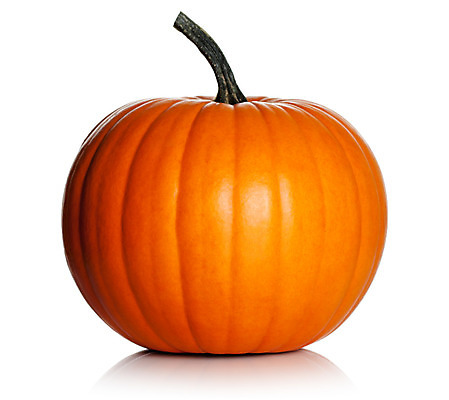 포토 JPG 해외이미지 식물 1 계절 음식 줄기 백그라운드 채소 오렌지 호박 건강 사람없음 장식 할로윈 수확 가을 흰색 신선 오브젝트 싱글 날것 스쿼시 10월 고립 숙성 해외202004 해외포토 스포츠 컬러 농업 과일 구기 날짜 파일형식 이미지허브