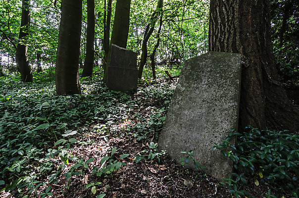 포토 JPG 해외이미지 꽃 기독교 종교 지구 백그라운드 십자가 부활절 사람없음 목재 조각상 검은색 성경 바위 기도 죽음 예수 영혼 목사 심볼 애도 신성 땅파기 신앙심 옛날 장례식 오싹 해외202004 해외포토 나무 식물 기념일 컬러 재료 종교용품 조형물 신_종교 성직자 파일형식 이미지허브