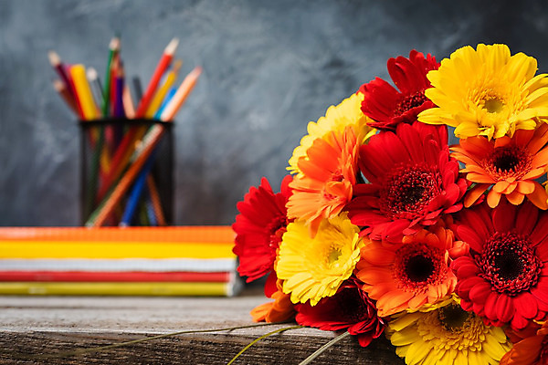 포토 JPG 해외이미지 1 학생 디자인 교육 꽃 행복 꽃다발 과학 백그라운드 일러스트 캘리그라피 학교 수업 휴가 잉크 선물 사람없음 책 초록색 세계 독서 연필 꽃병 교사 칠판 침묵 덮개 가을 축하 9월 강의 분필 데이지 거베라 러시아인 레터링 해외202004 해외포토 서양인 식물 직업 계절 감정 컬러 컨셉 학용품 필기구 소리 뚜껑 날짜 초크 파일형식 이미지허브
