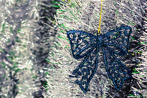 포토 JPG 해외이미지 나무 전통 계절 행복 크리스마스 겨울 곰 눈사람 휴가 새로움 새해 수염 선물 사람없음 장식 빨간색 장난감 산타클로스 목도리 기쁨 흰색 축하 12월 기적 고립 클라우스 해외202004 해외포토 식물 동물 잡화 기념일 감정 컬러 컨셉 포유류 날짜 파일형식 이미지허브