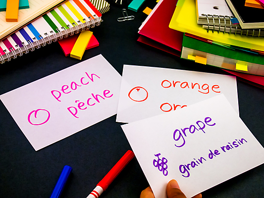 포토 JPG 해외이미지 학생 영어 교육 문화 텍스트 통신 교실 학교 수업 사람없음 책 단어 스터디 세계 글로벌 연필 펜 쪽지 공책 시험 퀴즈 가르침 사과 강의 사전 프랑스어 소셜 번역 해외202004 해외포토 문자 과일 문구용품 학용품 학습 필기구 파일형식 이미지허브