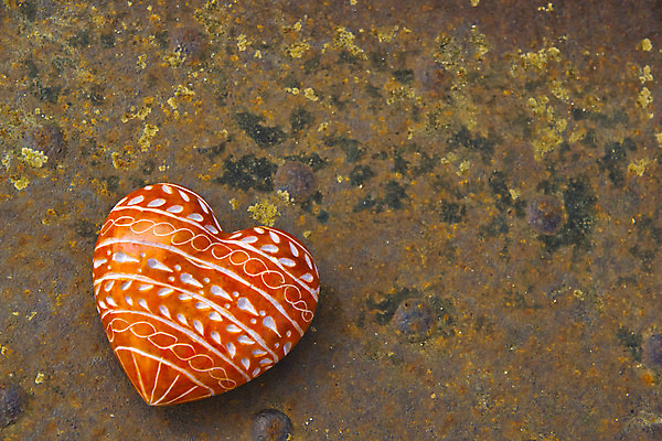 포토 JPG 해외이미지 나무 디자인 결혼 패턴 자연 결혼식 발렌타인데이 선물 사랑 사람없음 목재 빨간색 초록색 우정 하트 생일 메시지 심볼 사인 엽서 나무껍질 수목 어머니의날 해외202004 해외포토 모양 식물 기념일 감정 컬러 무늬 재료 데이이벤트 이벤트 친구 껍질 편지 생태계 미국문화 파일형식 이미지허브