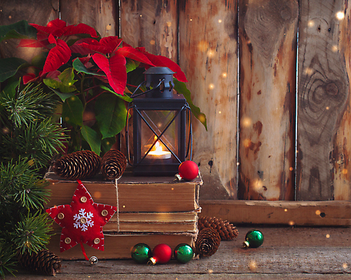 포토 JPG 해외이미지 식물 전통 디자인 계절 꽃잎 꽃 별 백그라운드 잎 크리스마스 겨울 꽃무늬 공 자연 휴가 관리 선물 사람없음 목재 장식 책 빨간색 축제 화환 수확 나뭇가지 등불 축하 인사 신용카드 12월 연도 심볼 오브젝트 복고 진홍색 전나무 포인세티아 노엘 옛날 해외202004 해외포토 자연요소 나무 기념일 컬러 컨셉 무늬 농업 재료 조명 금융 예절 날짜 생태계 파일형식 이미지허브