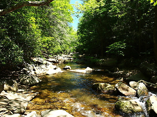 포토 JPG 해외이미지 자연 산 풍경 사람없음 야외 초록색 물 강 바위 시골 개울 숲 해외202004 해외포토 자연요소 컬러 돌_바위 생태계 파일형식 이미지허브