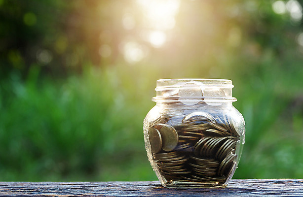 포토 JPG 해외이미지 식물 백그라운드 컨셉 돈 비즈니스 자연 성공 사람없음 초록색 금융 경제 쌓기 동전 저축 성장 항아리 절약 황금 캔 주식 작음 가득함 심볼 투자 만들기 기부 관심 수입 우크라이나 페니 해외202004 해외포토 유럽 컬러 모션 도자기 재산 크기 생태계 파일형식 이미지허브