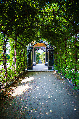 포토 JPG 해외이미지 나무 식물 계절 공원 길 여행 잎 건축양식 자연 사랑 풍경 사람없음 초록색 여름 정원 침묵 산책 나뭇가지 복도 터널 아치 내추럴 방법 해외202004 해외포토 공공시설 건축 감정 컬러 휴식 소리 생태계 파일형식 이미지허브