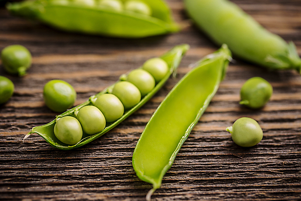 포토 JPG 해외이미지 실내 사람없음 아웃포커스 완두콩 꼬투리 해외202004 해외포토 콩 촬영기법 내부 파일형식 이미지허브