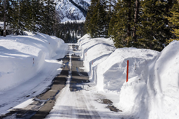 포토 JPG 해외이미지 계절 도로 여행 겨울 산 거리 사람없음 야외 냉동 추위 흰색 캘리포니아 멸종위기동물 1월 매머드 쟁기 해외202004 해외포토 동물 길 컬러 교통시설 미국 날짜 파일형식 멸종위기종 이미지허브