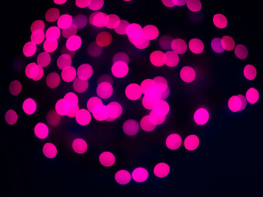 포토 JPG 해외이미지 나무 디자인 배너 커플 계절 분홍색 결혼 백그라운드 크리스마스 겨울 패턴 추상 휴가 불꽃 프레임 발렌타인데이 사랑 미술 사람없음 장식 빨간색 초록색 물 여름 파란색 빛 컬러풀 파티 보라색 검은색 봄 하트 야간 소프트포커스 질감 보케 광 블러 효과 해외202004 해외포토 자연요소 모양 식물 기념일 감정 컬러 무늬 관계 데이이벤트 불 문화예술 촬영기법 이벤트 파일형식 이미지허브