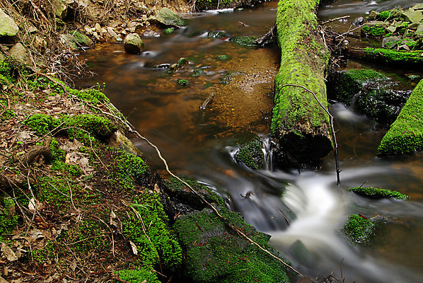 포토 JPG 해외이미지 나무 공원 잎 모션 자연 산 이끼 풍경 사람없음 야외 초록색 물 강 평화 골짜기 봄 폭포 젖음 흐름 가을 바위 흰색 개울 떨어짐 매끈함 수증기 숲 시원함 체코 스플래쉬 해외202004 해외포토 자연요소 식물 계절 공공시설 유럽 컬러 컨셉 돌_바위 감각 생태계 파일형식 이미지허브